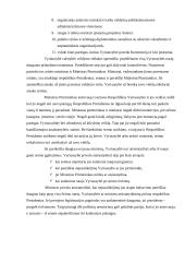 Lietuvos Vyriausybės struktūra, formavimas ir funkcionavimas 4 puslapis