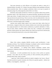 Lyginamasis pranašumas ir masto ekonomija 8 puslapis