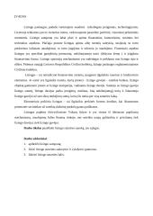 Lizingas ir lizingo paslaugos 2 puslapis