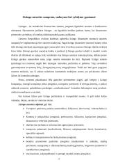 Lizingas ir lizingo paslaugos 3 puslapis