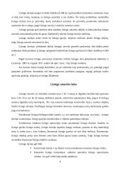 Lizingas ir lizingo paslaugos 5 puslapis