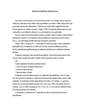 Krovinio pakrovimas, vežimo sutarties sudarymas 5 puslapis