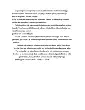 Krovinio pakrovimas, vežimo sutarties sudarymas 8 puslapis