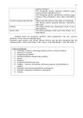 Lojalumo programų taikymas įmonėse 11 puslapis