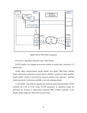 Lucent PBX tinklo valdymas 12 puslapis