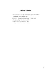 M. Servanteso ir "Don Kichoto" pristatymas ir analizė 6 puslapis