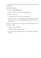 Marketingo koncepcijos ir strategija 3 puslapis