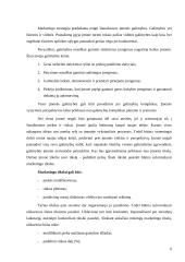 Marketingo koncepcijos ir strategija 6 puslapis