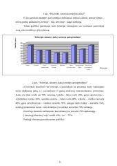 Marketingo tyrimas: audio, video ir buitinės technikos pardavimas UAB "Adranas" 11 puslapis