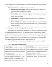 Masinių informacijos priemonių palyginimas su tiesioginėmis informavimo priemonėmis 11 puslapis