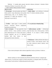 Masinių informacijos priemonių palyginimas su tiesioginėmis informavimo priemonėmis 6 puslapis