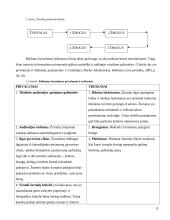 Masinių informacijos priemonių palyginimas su tiesioginėmis informavimo priemonėmis 9 puslapis