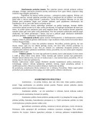 Mažmeninės prekybos įmonių tipai Lietuvoje 5 puslapis