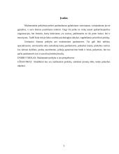 Mažmeninės prekybos veiklos analizė ir perspektyvos 3 puslapis