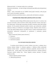 Mažmeninės prekybos veiklos analizė ir perspektyvos 4 puslapis