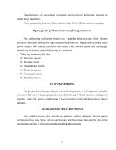 Mažmeninės prekybos veiklos analizė ir perspektyvos 6 puslapis