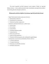 Mažmeninės prekybos veiklos analizė ir perspektyvos 7 puslapis