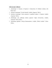 Mažmeninės prekybos veiklos analizė ir perspektyvos 10 puslapis