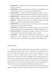 Meilė ir draugystė 10 puslapis