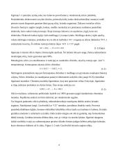 Mikroelektronikos apdorojimas 4 puslapis