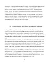 Mikroelektronikos apdorojimas 8 puslapis