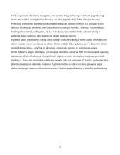 Mikroelektronikos apdorojimas 9 puslapis