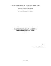 Mikrokreditai. Mikrokreditų vaidmuo nuosmukio laikotarpiu