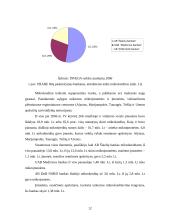 Mikrokreditai. Mikrokreditų vaidmuo nuosmukio laikotarpiu 12 puslapis