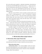 Mikrokreditai. Mikrokreditų vaidmuo nuosmukio laikotarpiu 15 puslapis