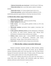 Mikrokreditai. Mikrokreditų vaidmuo nuosmukio laikotarpiu 16 puslapis