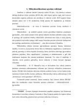 Mikrokreditai. Mikrokreditų vaidmuo nuosmukio laikotarpiu 4 puslapis