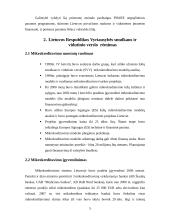 Mikrokreditai. Mikrokreditų vaidmuo nuosmukio laikotarpiu 5 puslapis