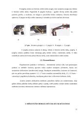 Miškovežio manipuliatorius 12 puslapis