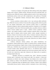 Miškovežio manipuliatorius 7 puslapis