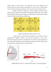 Miškovežio manipuliatorius 8 puslapis