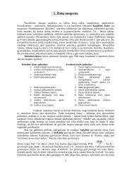 Mokslo filosofija 5 puslapis