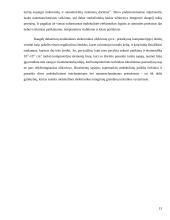 Molekulinė elektronika 13 puslapis