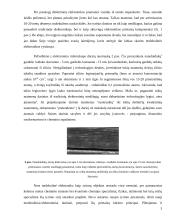 Molekulinė elektronika 3 puslapis