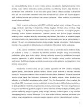 Molekulinė elektronika 7 puslapis