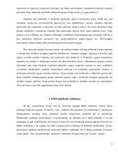 Molekulinė elektronika 9 puslapis