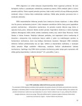 Molekulinė elektronika 10 puslapis
