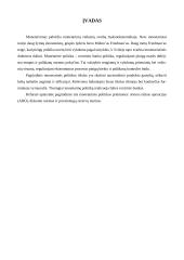 Monetarinės politika ir monetarinės politikos priemonės 2 puslapis