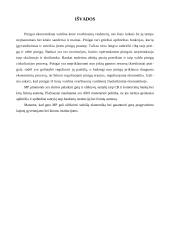 Monetarinės politikos priemonės ir jų analizė 16 puslapis