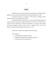 Monopolija ir diskriminacija kainomis 2 puslapis