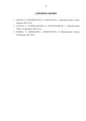 Monopolija ir diskriminacija kainomis 11 puslapis