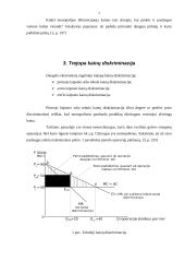 Monopolija ir diskriminacija kainomis 6 puslapis