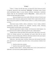 Motyvacijos būdai ir priemonės 3 puslapis