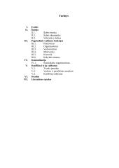 Nacionaliniai vadybos ypatumai Danijos šalyje 12 puslapis