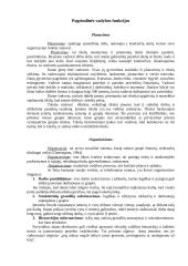 Nacionaliniai vadybos ypatumai Danijos šalyje 4 puslapis