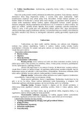 Nacionaliniai vadybos ypatumai Danijos šalyje 5 puslapis